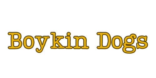 Boykin Dogs